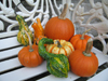 Antique bench of gourds
