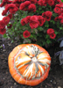 Red mum