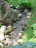 river of love